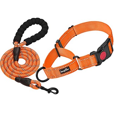 haapaw Martingale Dog Collar with Quick Release Buckle Reflective Dog Training Collars for Small Medium Large Dogs