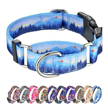 Hikiko Martingale Collar for Dogs Soft Durable Dog Collar for Small Medium Large Boy and Male Dogs No Pull No Slip Safety Buckle Dog Collars HillMedium