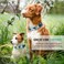 Hikiko Martingale Collar for Dogs with No Buckle Floral Daisy Dog Collar Soft Nylon No Pull Dog Collars for Medium DogsGreen FlowerM
