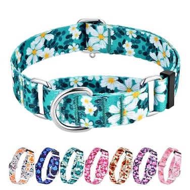 Hikiko Martingale Collar for Dogs with No Buckle Floral Daisy Dog Collar Soft Nylon No Pull Dog Collars for Medium DogsGreen FlowerM