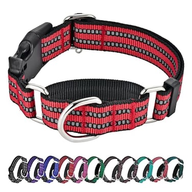 Hikiko Martingale Dog Collars Reflective Nylon Dog Collar with Quick Release Buckle Adjustable Training No Slip Dog Collar Small Red