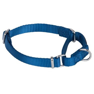 Hyhug Martingale Collar for Dogs Small Blue Escape Proof Heavy Duty Nylon Durable No Buckle Ideal for Training Daily Walks