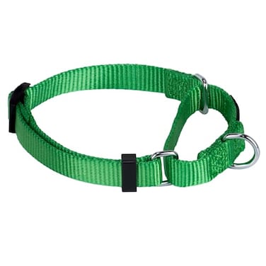 Hyhug Martingale Collar for Dogs Small Green Escape Proof Heavy Duty Nylon Durable No Buckle Ideal for Training Daily Walks
