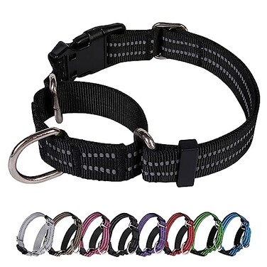Joyeeiioo JOYEEIIOO Martingale Dog Collar Adjustable Nylon Reflective Collar with Buckle No Pull Dog Collar for Small Medium Large Dogs Black S
