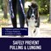 Leash Boss Martingale Collar for Dogs Steel Chain Reflective Nylon Dog Collar for Large Dogs Medium and Small Dogs No Pull Pet Training Collar Small