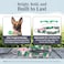 Lucky Love Dog Martingale Dog Collar Adjustable NoSlip Comfortable Durable Soft Webbing Stylish Patterned Collar for Male and Female Dogs Ideal for Training Walking Laguna Large