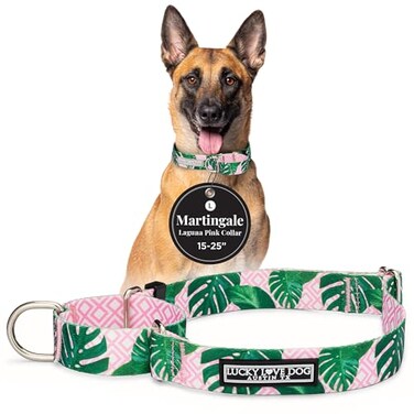 Lucky Love Dog Martingale Dog Collar Adjustable NoSlip Comfortable Durable Soft Webbing Stylish Patterned Collar for Male and Female Dogs Ideal for Training Walking Laguna Large