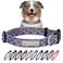 Lucky Love Dog Martingale Dog Collar Adjustable NoSlip Durable Soft Webbing Collar for Male and Female Dogs Ideal for Training Walking Primrose Medium