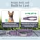 Lucky Love Dog Martingale Dog Collar Adjustable NoSlip Durable Soft Webbing Collar for Male and Female Dogs Ideal for Training Walking Primrose Medium