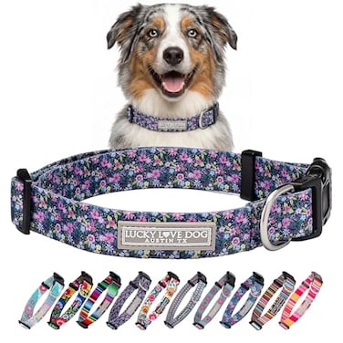Lucky Love Dog Martingale Dog Collar Adjustable NoSlip Durable Soft Webbing Collar for Male and Female Dogs Ideal for Training Walking Primrose Medium