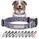 Lucky Love Dog Martingale Dog Collar Adjustable NoSlip Durable Soft Webbing Collar for Male and Female Dogs Ideal for Training Walking Primrose Medium