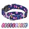 Hikiko Martingale Collar for Dogs Adjustable Soft Nylon Dog Collars with Special Design Cute Patterns for Puppy XSmall Dog Collar XSmallBlue Flower