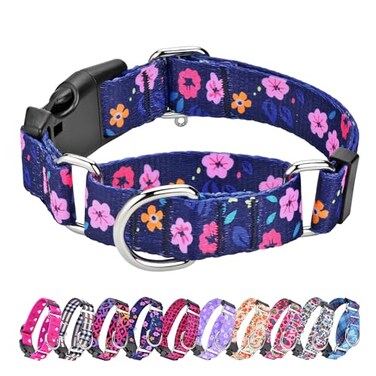 Hikiko Martingale Collar for Dogs Adjustable Soft Nylon Dog Collars with Special Design Cute Patterns for Puppy XSmall Dog Collar XSmallBlue Flower
