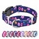 Hikiko Martingale Collar for Dogs Adjustable Soft Nylon Dog Collars with Special Design Cute Patterns for Puppy XSmall Dog Collar XSmallBlue Flower