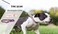 YOUALSO Martingale Collar for Dogs NoSlip Escape Proof Choke No Pull Cinch Soft Nylon Dog Training Collars Adjustable for Small Medium Large Breed Pet Dogs Pink Daisy M