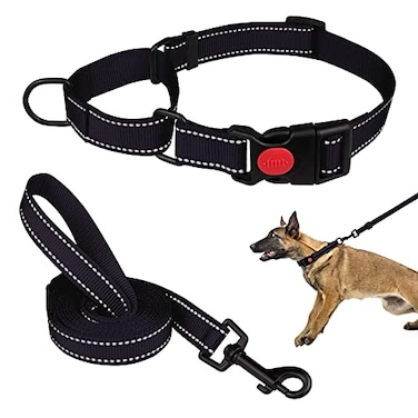 Mtliepte Martingale Dog Collar and Leash Set Martingale Collars for Dogs Reflective Martingale Collar for Small Medium Large DogsBlackL