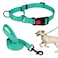 Mtliepte Martingale Dog Collar and Leash Set Martingale Collars for Dogs Reflective Martingale Collar for Small Medium Large DogsMint GreenM