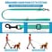 Mtliepte Martingale Dog Collar and Leash Set Martingale Collars for Dogs Reflective Martingale Collar for Small Medium Large DogsMint GreenM