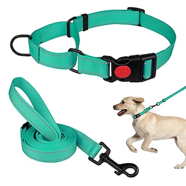 Mtliepte Martingale Dog Collar and Leash Set Martingale Collars for Dogs Reflective Martingale Collar for Small Medium Large DogsMint GreenM