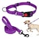 Mtliepte Martingale Dog Collar and Leash Set Martingale Collars for Dogs Reflective Martingale Collar for Small Medium Large DogsPurpleM