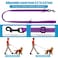 Mtliepte Martingale Dog Collar and Leash Set Martingale Collars for Dogs Reflective Martingale Collar for Small Medium Large DogsPurpleM