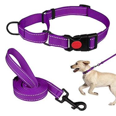 Mtliepte Martingale Dog Collar and Leash Set Martingale Collars for Dogs Reflective Martingale Collar for Small Medium Large DogsPurpleM
