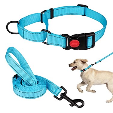 Mtliepte Martingale Dog Collar and Leash Set Martingale Collars for Dogs Reflective Martingale Collar for Small Medium Large DogsSky BlueM