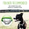 Mighty Paw Martingale Dog Collar Gentle Correction with No More Pulling Strong 100 Stainless Steel Chain Weatherproof Wont Rust Built to Last Premium Quality Nylon Durable Plastic Buckle