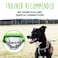 Mighty Paw Martingale Dog Collar Gentle Correction with No More Pulling Strong 100 Stainless Steel Chain Weatherproof Wont Rust Built to Last Premium Quality Nylon Durable Plastic Buckle