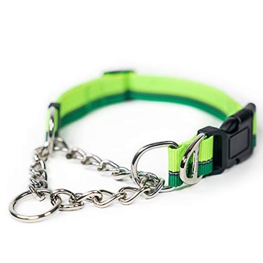 Mighty Paw Martingale Dog Collar Gentle Correction with No More Pulling Strong 100 Stainless Steel Chain Weatherproof Wont Rust Built to Last Premium Quality Nylon Durable Plastic Buckle