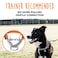 Mighty Paw Martingale Dog Collar 20 Trainer Approved Limited Slip Collar with Stainless Steel Chain Heavy Duty Buckle Modified Cinch for Gentle Effective Pet Training Large Orange