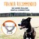 Mighty Paw Martingale Dog Collar 20 Trainer Approved Limited Slip Collar with Stainless Steel Chain Heavy Duty Buckle Modified Cinch for Gentle Effective Pet Training Medium Orange