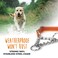 Mighty Paw Martingale Dog Collar 20 Trainer Approved Limited Slip Collar with Stainless Steel Chain Heavy Duty Buckle Modified Cinch for Gentle Effective Pet Training Medium Orange