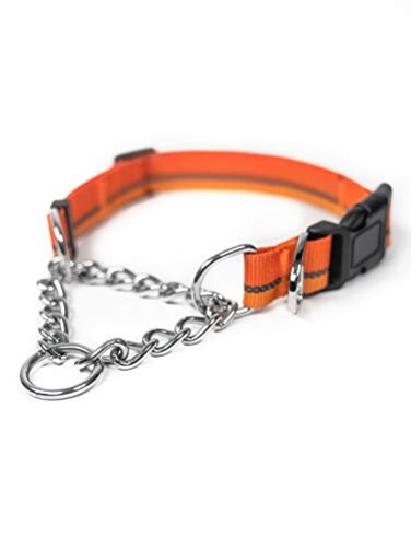 Mighty Paw Martingale Dog Collar 20 Trainer Approved Limited Slip Collar with Stainless Steel Chain Heavy Duty Buckle Modified Cinch for Gentle Effective Pet Training Medium Orange