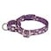 Petiry Martingale Dog CollarFloral Patternwith Safety Quick Release BuckleEscapeproof Antipull for Small Puppy DogsPurple FloralXS