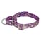 Petiry Martingale Dog CollarFloral Patternwith Safety Quick Release BuckleEscapeproof Antipull for Small Puppy DogsPurple FloralXS