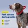 PetSafe Martingale Dog Collar Medium 1 Inch Red
