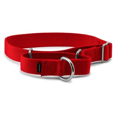 PetSafe Martingale Dog Collar Medium 1 Inch Red