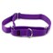 PetSafe Martingale Dog Collar Medium 34 Inch Deep Purple