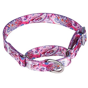 Pimaodog Heavy Duty Nylon Dog Collar Adjustable Martingale Dog Collar for Walking Training Boy and Girl Dogs Medium Large Dogs M3645CM Pink
