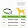PUROAYET Martingale Collar for Dogs Reflective Nylon Dog Training Collars Soft Padded No Pull Adjustable Collars Stainless Steel Chain Collar for LargeMediumSmall DogsGreenS