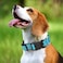 GDLKPS Reflective Martingale Dog Collars Dog Collar with Quick Release Buckle Adjustable Soft Padded Breathable Nylon Pet Collar Suitable for Puppies for Small Medium Large Dogs