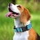 GDLKPS Reflective Martingale Dog Collars Dog Collar with Quick Release Buckle Adjustable Soft Padded Breathable Nylon Pet Collar Suitable for Puppies for Small Medium Large Dogs