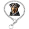Weimostar Slip P Puppy Choke Chain Collar for Dogs Choker Metal Training Link Durable Martingale Collars for XXS XS Small Medium Large Breed Dogs Silver Size L
