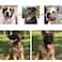 Weimostar Slip P Puppy Choke Chain Collar for Dogs Choker Metal Training Link Durable Martingale Collars for XXS XS Small Medium Large Breed Dogs Silver Size L
