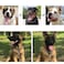 Weimostar Slip P Puppy Choke Chain Collar for Dogs Choker Metal Training Link Durable Martingale Collars for XXS XS Small Medium Large Breed Dogs Silver Size L