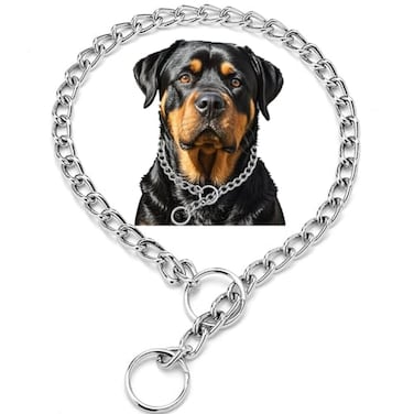 Weimostar Slip P Puppy Choke Chain Collar for Dogs Choker Metal Training Link Durable Martingale Collars for XXS XS Small Medium Large Breed Dogs Silver Size L