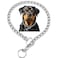Weimostar Slip P Puppy Choke Chain Collar for Dogs Choker Metal Training Link Durable Martingale Collars for XXS XS Small Medium Large Breed Dogs Silver Size L