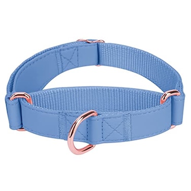 AaufiLux Soft Leather Martingale Dog Collar Adjustable Rose Gold Limited Slip Collars Easy to Clean Stylish Durable Heavy Duty Nylon No Pull Training Collar for Small Medium Large Dogs M Blue Purple