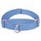 AaufiLux Soft Leather Martingale Dog Collar Adjustable Rose Gold Limited Slip Collars Easy to Clean Stylish Durable Heavy Duty Nylon No Pull Training Collar for Small Medium Large Dogs M Blue Purple